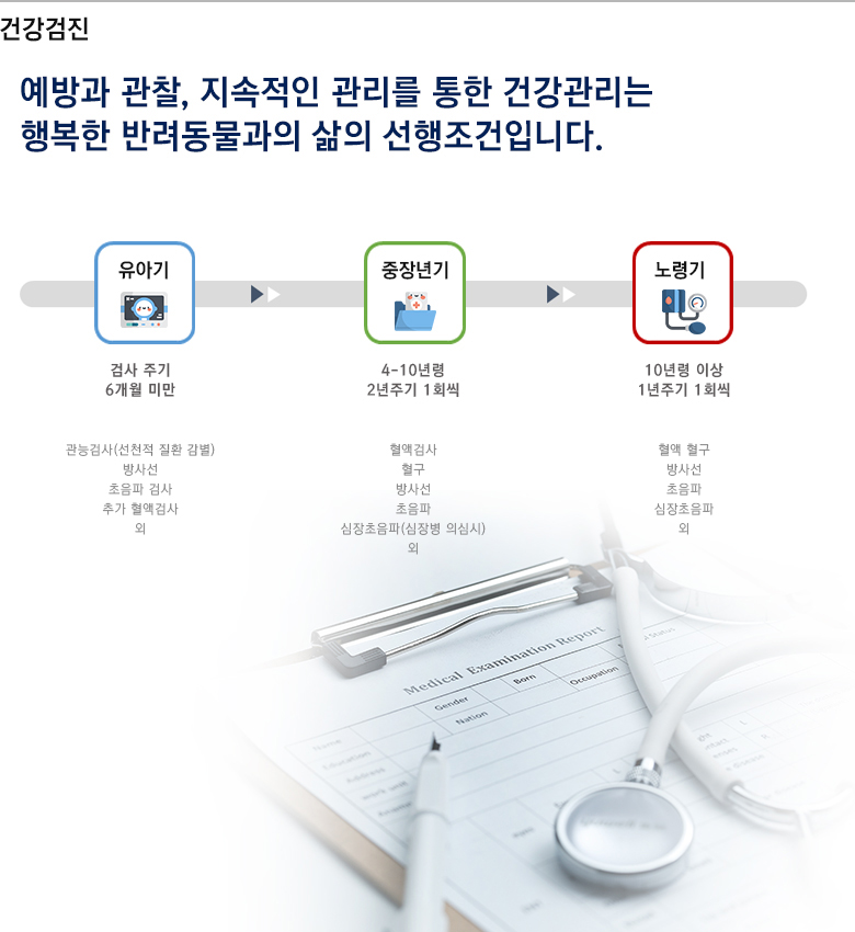 노령견 정밀 건강검진