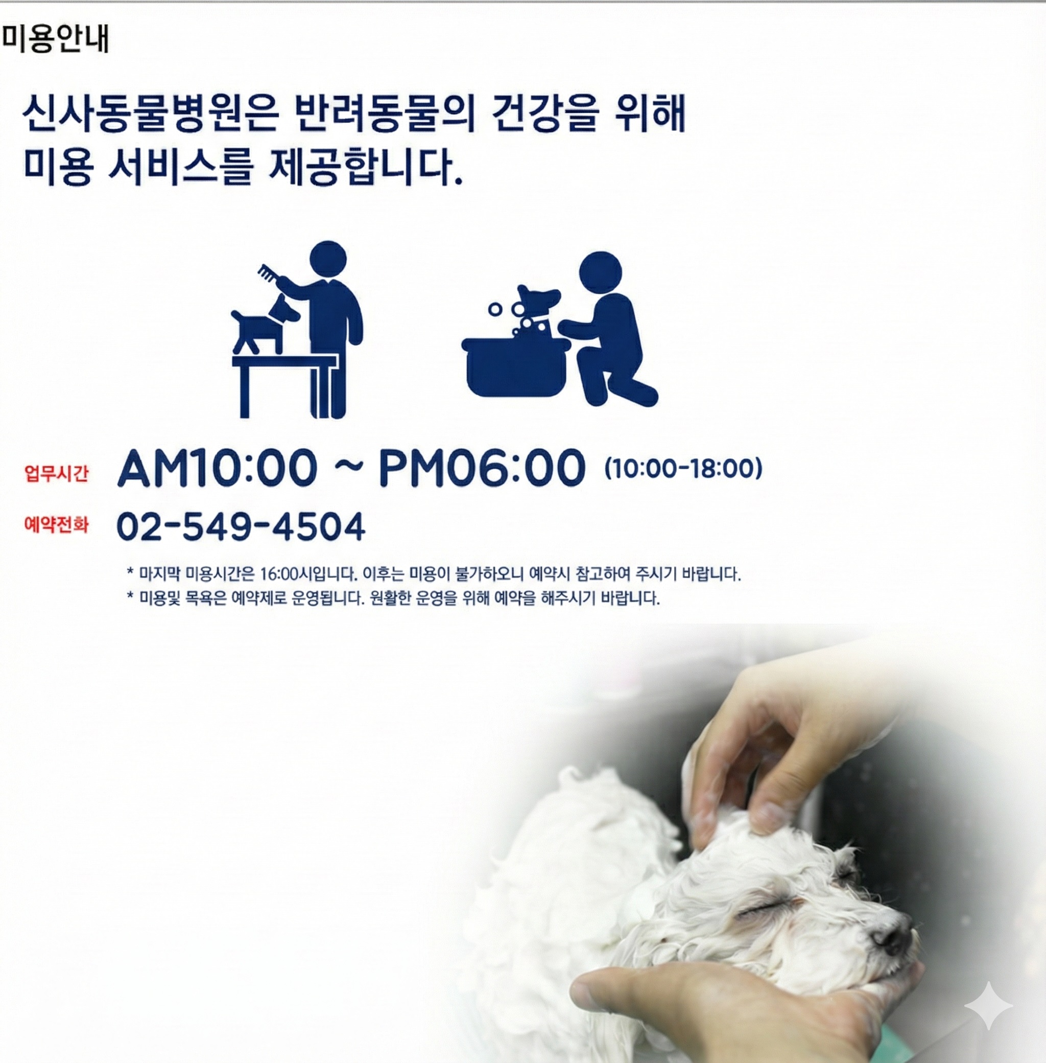 강남 논현동 애견미용 잘하는 곳