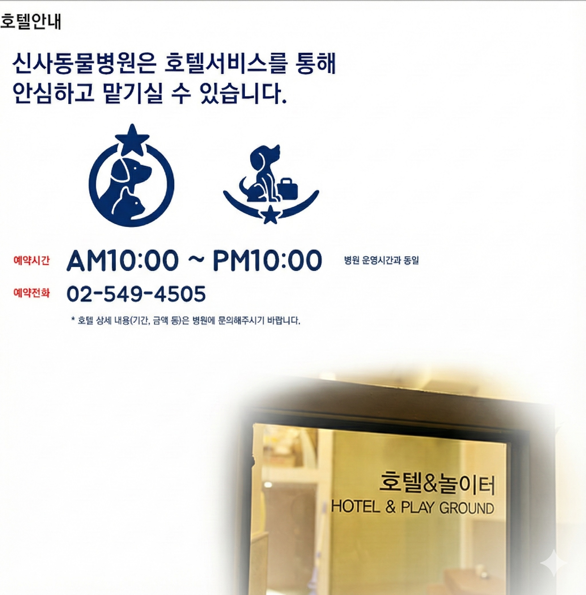 수의사가 관리하는 안전한 강아지 호텔